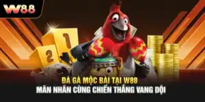 Đá Gà Mộc Bài Tại W88 Mãn Nhãn Cùng Chiến Thắng Vang Dội