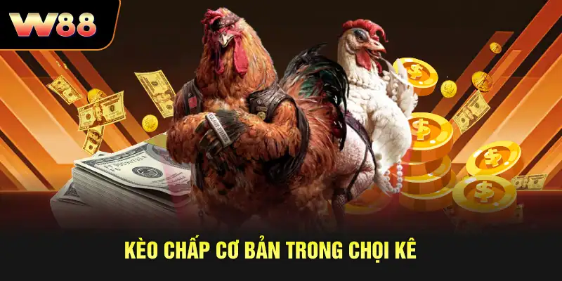 Kèo chấp cơ bản trong chọi kê