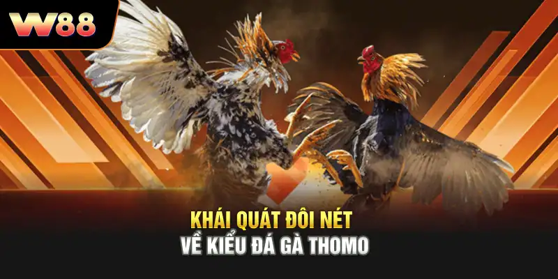 Khái quát đôi nét về kiểu chơi Đá Gà Thomo